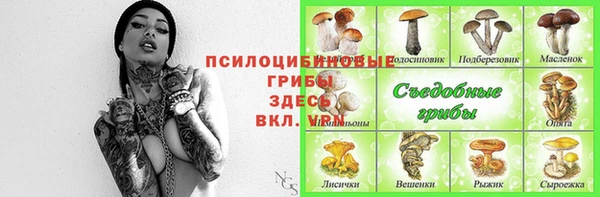 Альфа ПВП Ростов