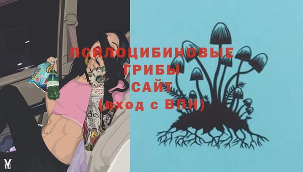 круглые Протвино