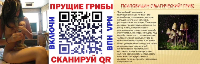 Купить  Усть-Кут  Галлюциногенные грибы Psilocybe 